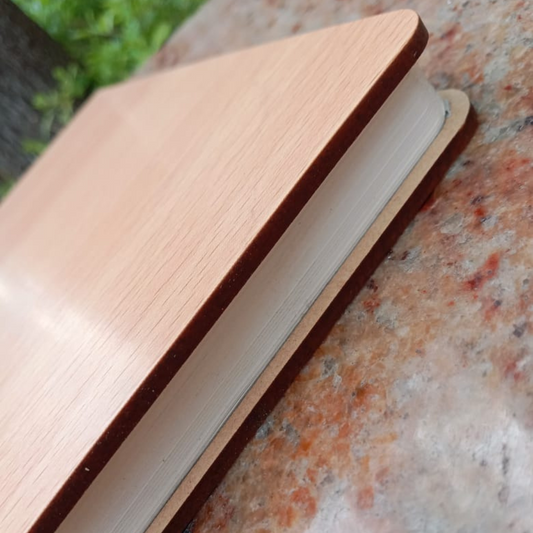 Valentine Photo Diary